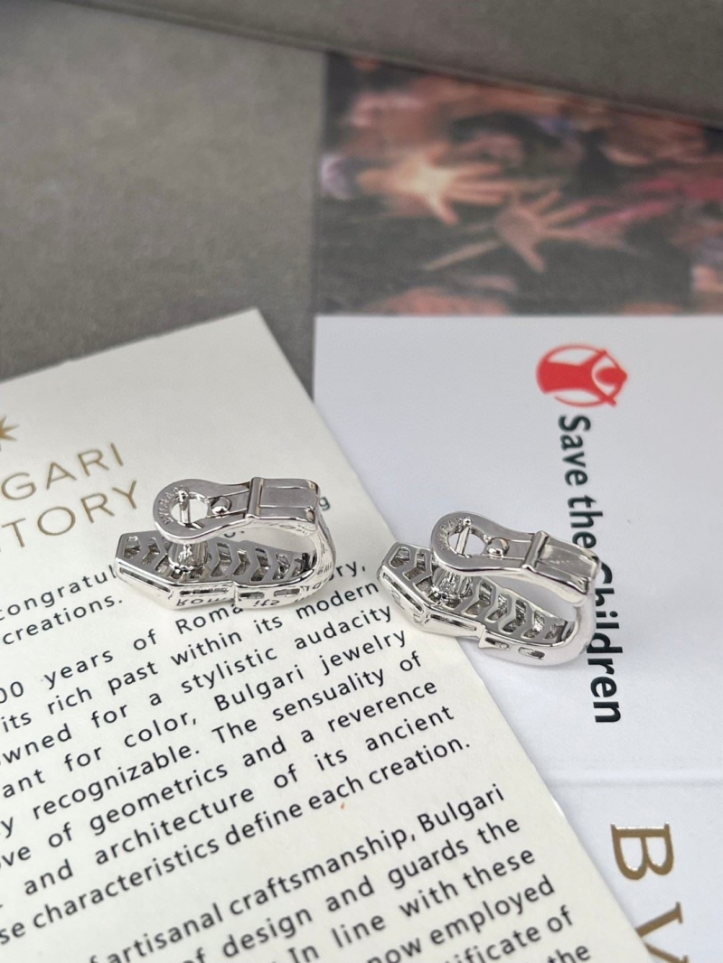 Bv1g*ai earrings